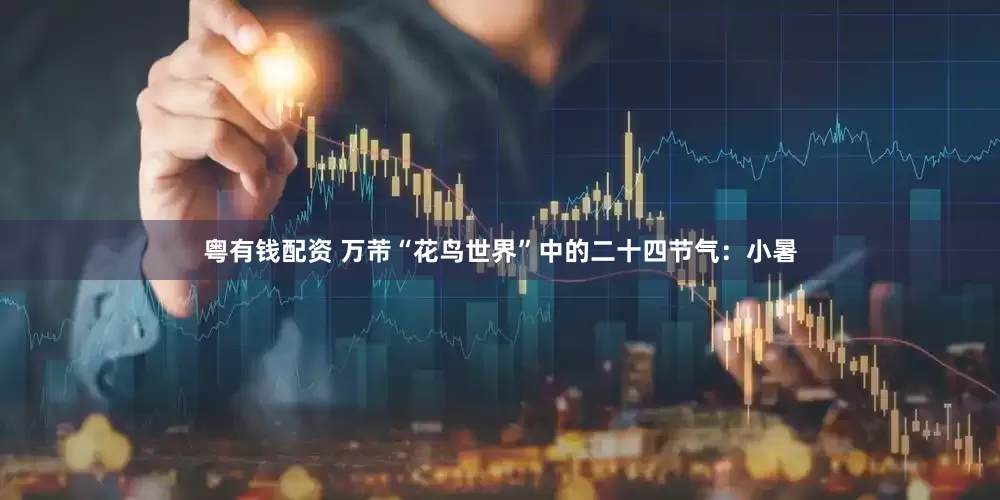 粤有钱配资 万芾“花鸟世界”中的二十四节气：小暑