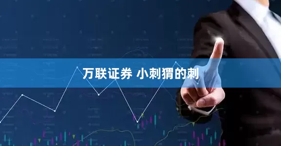 万联证券 小刺猬的刺