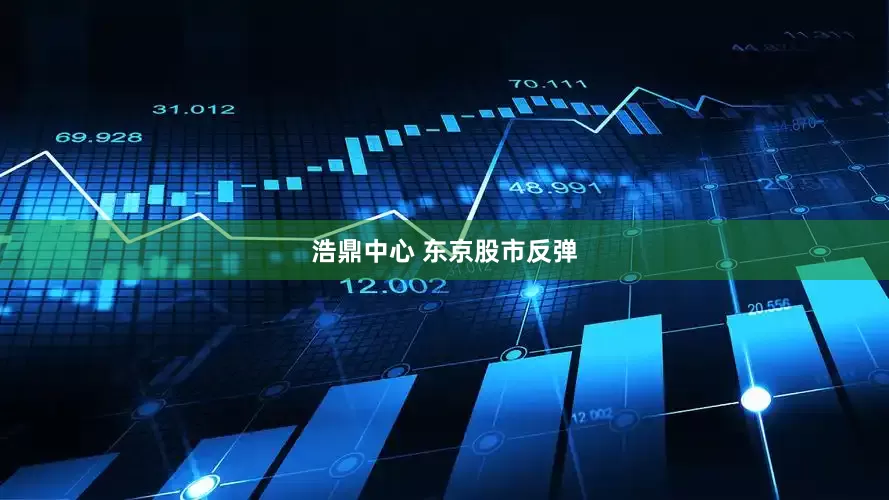 浩鼎中心 东京股市反弹