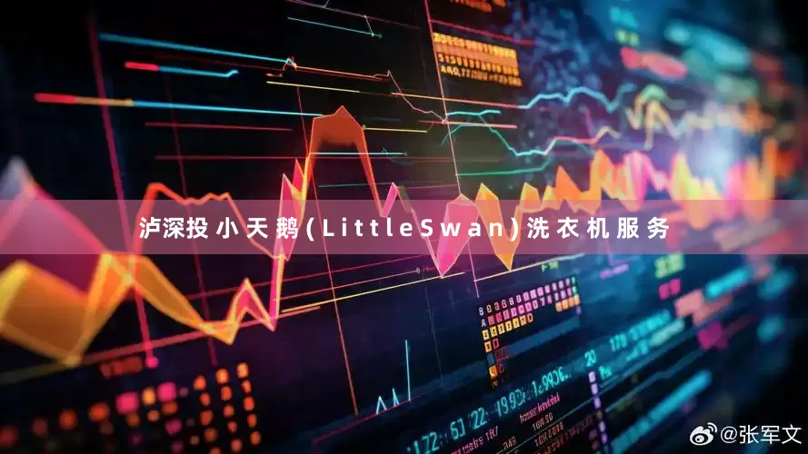 泸深投 小 天 鹅 ( L i t t l e S w a n ) 洗 衣 机 服 务